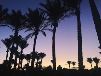 Low angle view of silhouette palm trees against sky at sunset