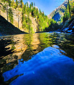 Scenic view of lake by trees against sky