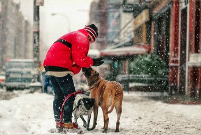 Man playing with dog during winter