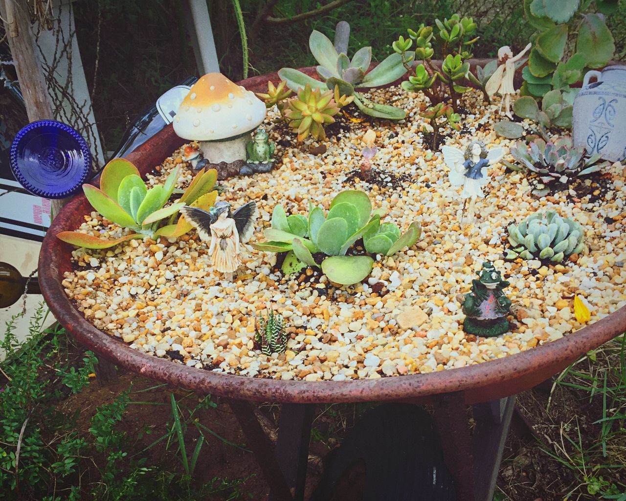 food and drink, food, freshness, high angle view, healthy eating, still life, leaf, close-up, growth, fruit, no people, mushroom, day, table, plant, bowl, directly above, outdoors, vegetable