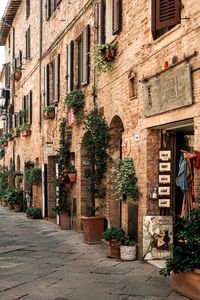 Potted plants in front of old building