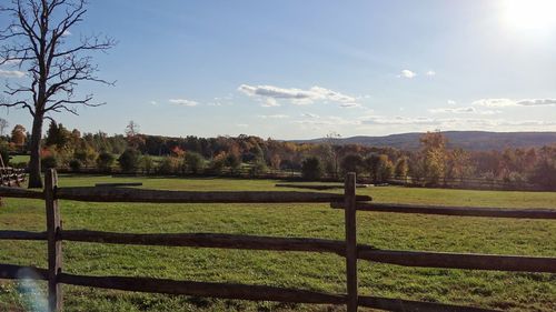 Scenic view of grassy field against sky