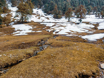 Scenic view of stream in winter