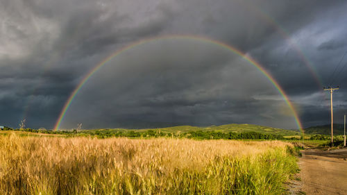 Scenic view of rainbow over field