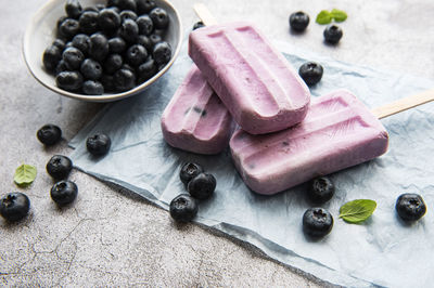 Ice cream popsicles from homemade yogurt and fresh organic blueberries.