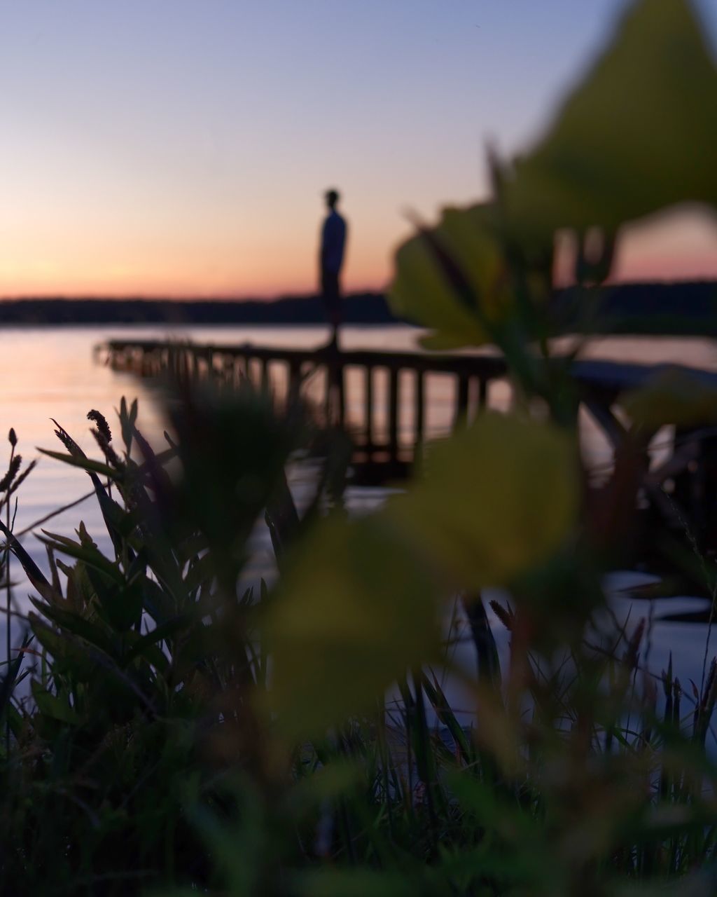 sky, sunset, beauty in nature, selective focus, plant, nature, silhouette, water, real people, scenics - nature, leisure activity, one person, lifestyles, tranquility, sea, tranquil scene, standing, outdoors