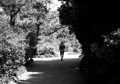 Rear view of people walking in park