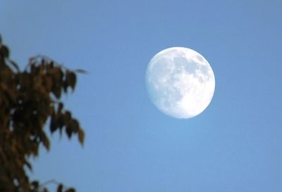 Low angle view of moon against clear blue sky