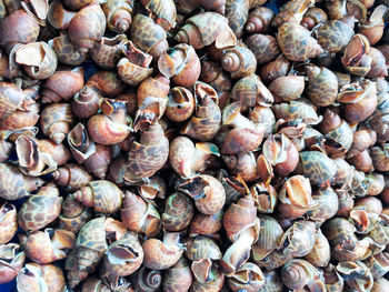 Full frame shot of onions for sale at market stall