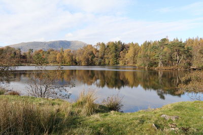 Scenic view of lake by trees against sky