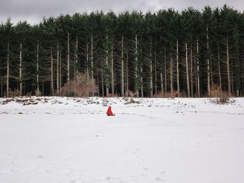 Snow covered field against trees