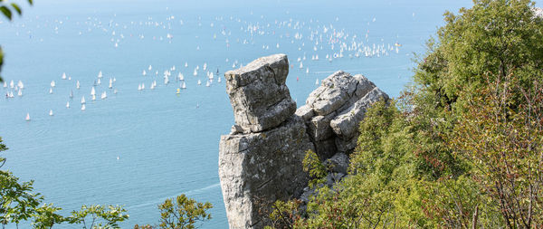 Bird on rock by sea against sky