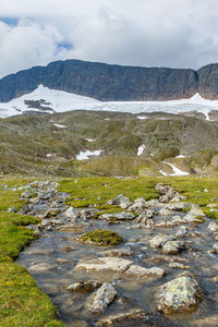Scenic view of landscape against sky