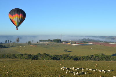 Hot air balloons flying over field against clear sky