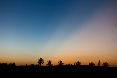 Silhouette trees against sky during sunset