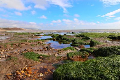 Idyllic shot of shore against sky