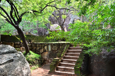 View of stone wall in forest