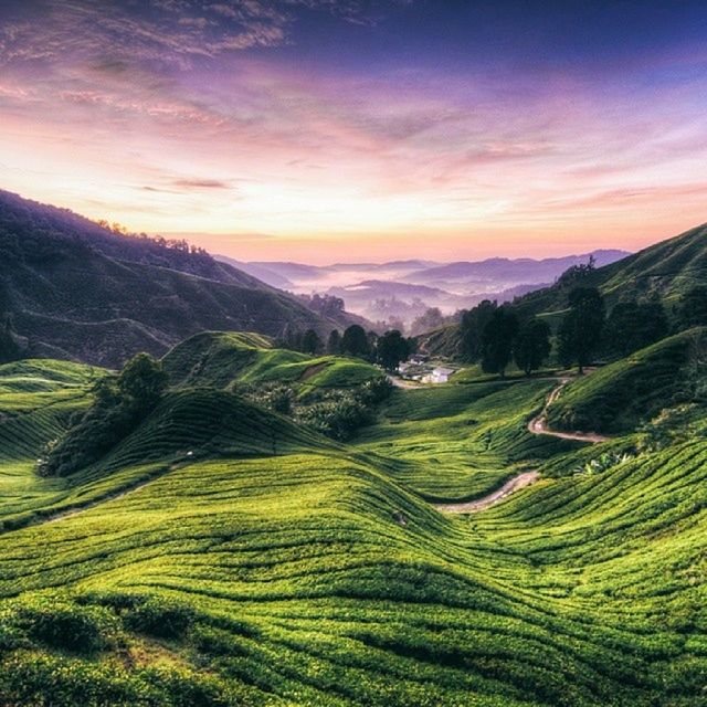 tranquil scene, landscape, tranquility, scenics, beauty in nature, sunset, mountain, sky, nature, idyllic, green color, orange color, field, rural scene, agriculture, tree, non-urban scene, growth, mountain range, cloud