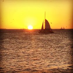 Sailboat sailing in sea at sunset