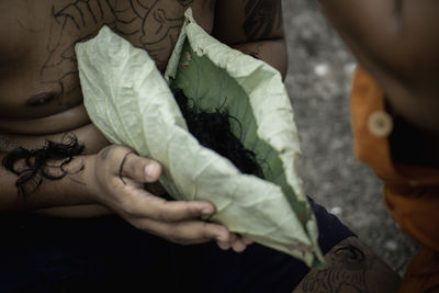 Cropped hand holding leaf