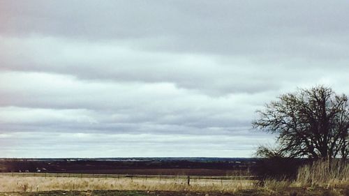 Scenic view of field against cloudy sky