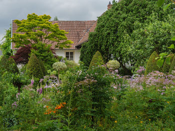 Summer in a german garden