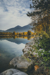 Scenic view of lake by trees against sky