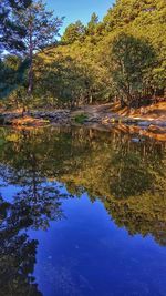 Reflection of trees in lake against blue sky