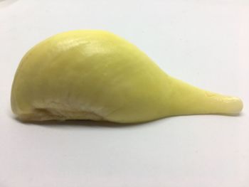 Close-up of bananas against white background