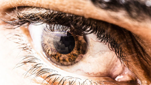 Close-up of human eye