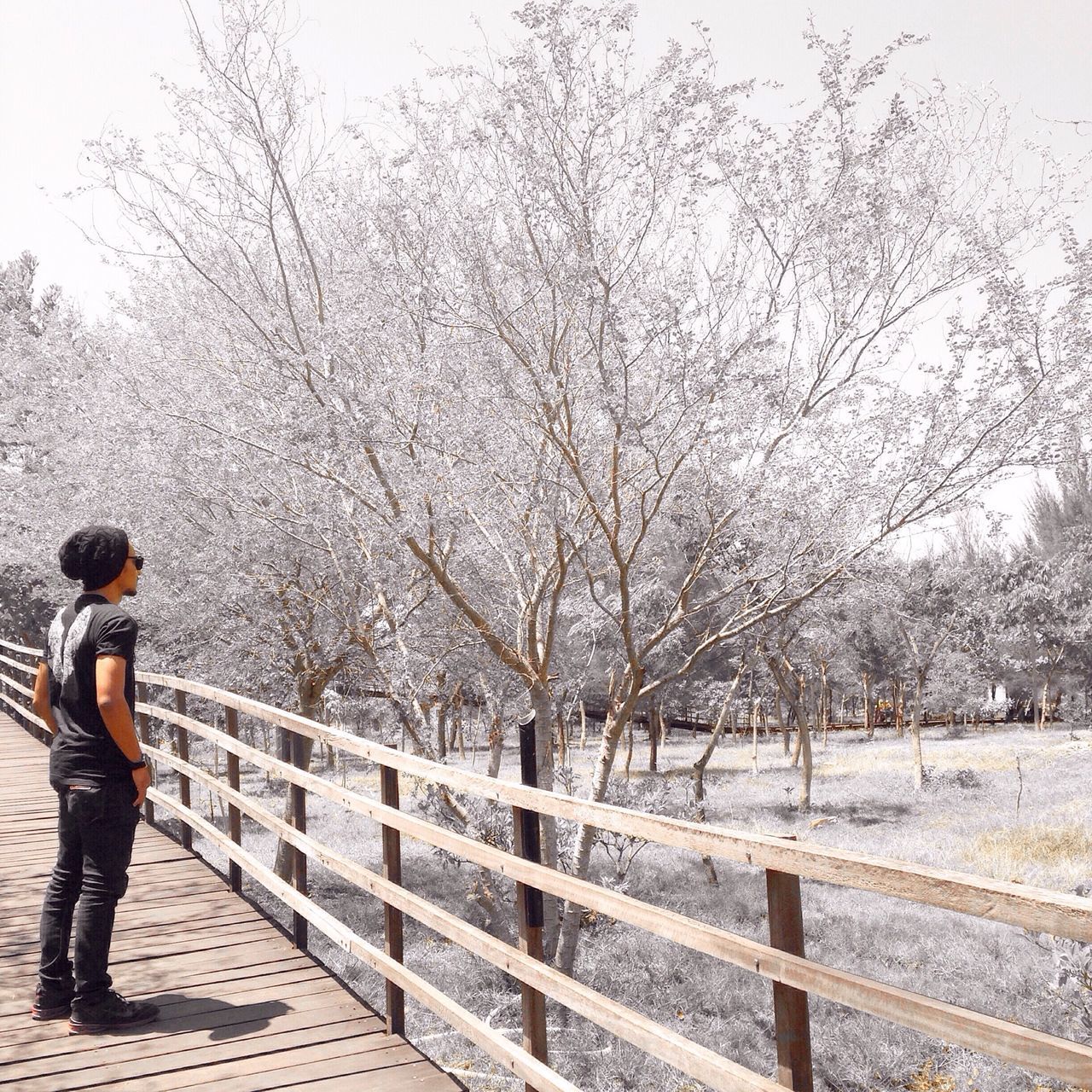 lifestyles, leisure activity, railing, men, full length, tree, rear view, standing, walking, casual clothing, person, fence, day, holding, nature, sky, outdoors