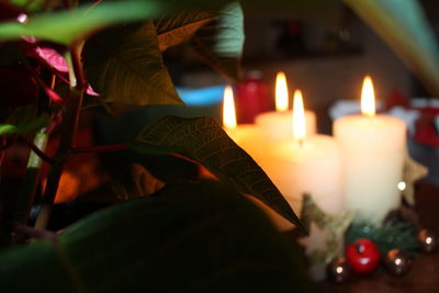 Close-up of leaves against christmas decorations with candle on table