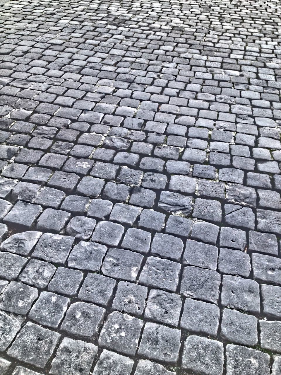 cobblestone, full frame, backgrounds, paving stone, pattern, textured, street, footpath, high angle view, outdoors, no people, day, pavement, sidewalk, repetition, close-up, in a row, sunlight, walkway, surface level