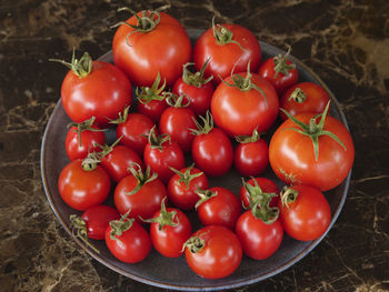 High angle view of tomatoes in container