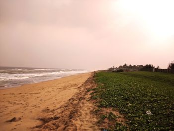 Scenic view of beach against sky during sunset