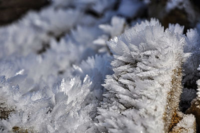 Ice crystals on the way to a buddhist temple in paro, bhutan