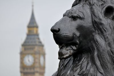 Lion statue against big ben