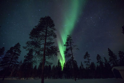 Low angle view of silhouette trees against sky at night