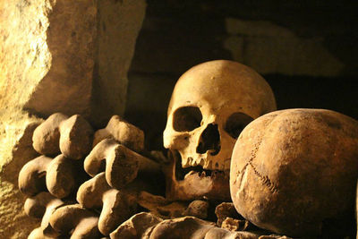 Close-up of human skull