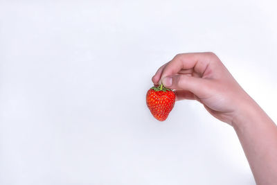 Midsection of woman holding strawberry against white background