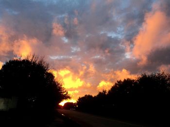 Silhouette of trees at sunset