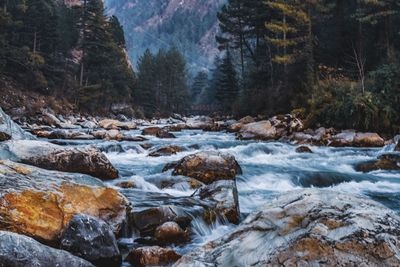 River flowing through rocks in forest