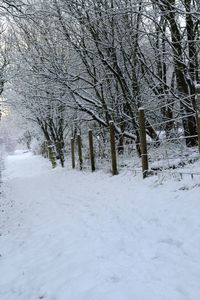 Bare trees on snow covered landscape