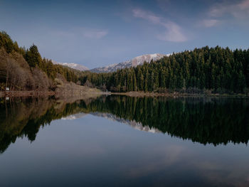 Scenic view of lake by trees against sky