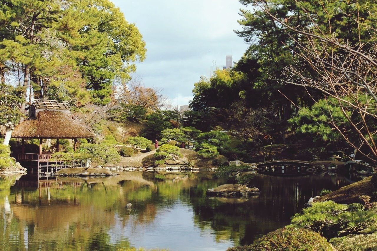 tree, water, reflection, lake, tranquility, sky, tranquil scene, river, growth, nature, waterfront, built structure, beauty in nature, scenics, architecture, green color, building exterior, pond, house, day