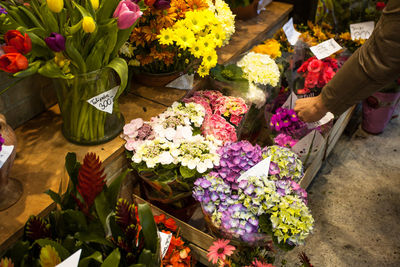 Flowers growing in market for sale