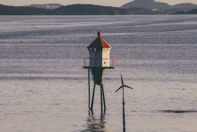 Reflection of trees in water