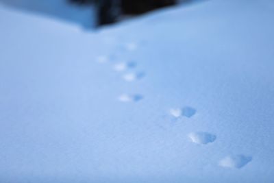 High angle view of snow