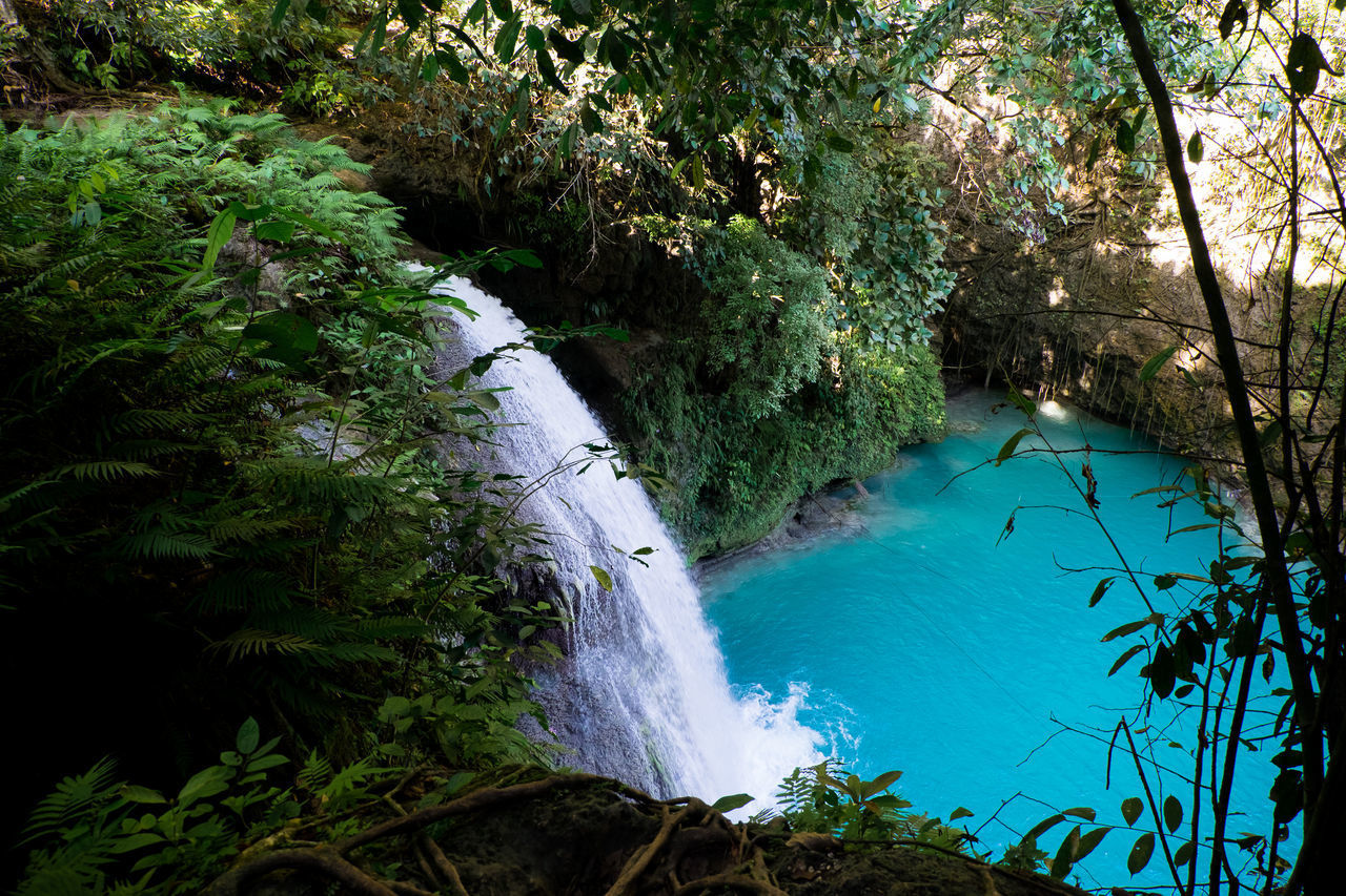 HIGH ANGLE VIEW OF WATERFALL AMIDST TREES