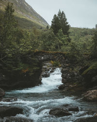 Scenic view of waterfall in forest against sky